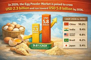 Egg Powder Market