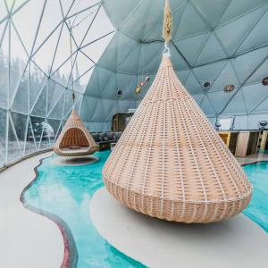 Stargazer Geodesic Dome_