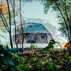 Geodesic Dome.