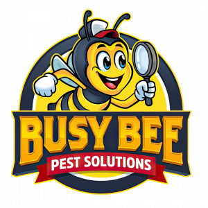 Busy Bee Pest Solutions logo representing humane bee removal services in Arizona.