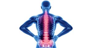 Best Chiropractic Clinic in Portland OR