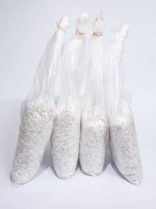 Plastic bags containing oyster mushroom spawn material for mushroom cultivation.