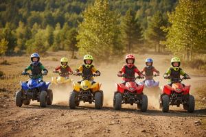 Affordable ATVs for Sale with Free Shipping - Q9 PowerSports USA
