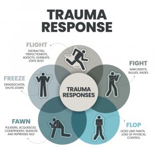 A diagram that explains the components of the Trauma Response