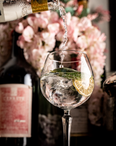 Braseria Gin and Tonic