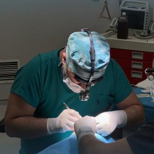 20 Years Experienced Plastic Surgeon