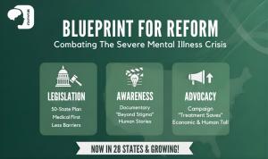 Strategic overview graphic for the National Shattering Silence Coalition's 2026 plan. It highlights three core initiatives: overhauling state mental health laws, producing an SMI documentary, and launching a public messaging campaign on the costs of medic