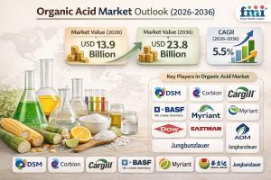 Organic Acid Market