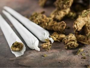 Marijuana Cigarette Market - 2020-2026