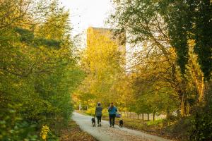 Outdoor adventures in Spartanburg, S.C.