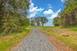 2± acre Madison County building lot. On site sewage system construction permit approved for a 3 bedroom drainfield. Drilled well permit approved • Virginia Department of Health permits must be transferred. Newly installed driveway; access to 2 state maintained roads