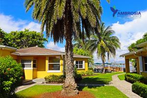 Addiction and Mental Health Treatment at Ambrosia