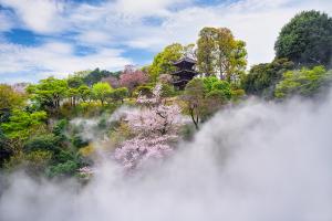 Three-story pagoda and cherry blossoms at Hotel Chinzanso Tokyo