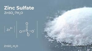 Zinc Sulfate Market
