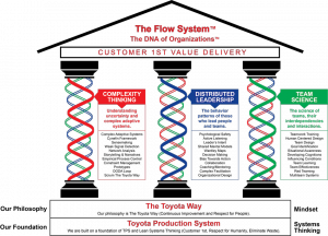 The Flow System (TM)