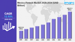 Mexico Fintech Market Share