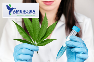 Marijuana Psychosis, marijuana, detox, rehab