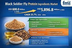 Black Soldier Fly Protein Ingredients Market