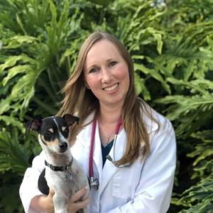 Dr. Nathalie Oudin, at her practice of in home pet euthanasia in Jacksonville, FL.