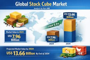 Stock Cube Market