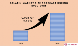 Gelatin Market