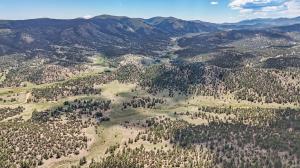 Kayla Brady - Realtor