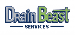The New Drain Beast Services Logo