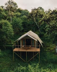 Galapagos Safari Camp Safari Tent