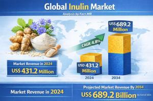 Inulin Market
