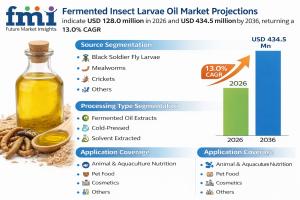 Fermented Insect Larvae Oil Market