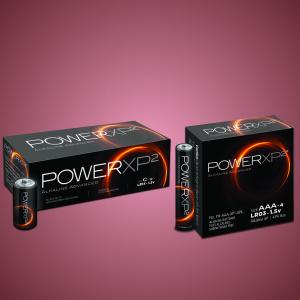 D size alkaline battery