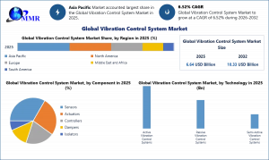 Vibration Control System Market graph