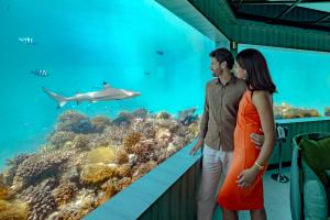A couple dining inside M6m (Minus Six Metres) at OZEN LIFE MAADHOO, watching a blacktip reef shark glide past the panoramic glass walls of the underwater restaurant, framed by the deep blue waters of the Indian Ocean.