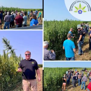 industrial hemp seed, hemp genetics