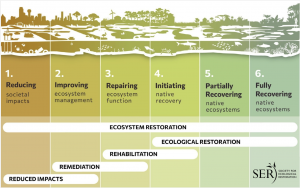 The Restorative Continuum includes a range of activities and interventions that can improve environmental conditions and reverse ecosystem degradation and landscape fragmentation. The continuum highlights interconnections among these different activities,