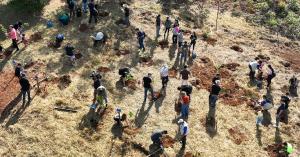An aerial view of volunteers planting trees and seeds in a grassy field.