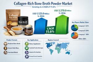 Collagen-Rich Bone Broth Powder Industry Size