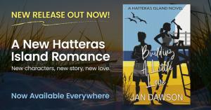 Building A Little Love by Jan Dawson