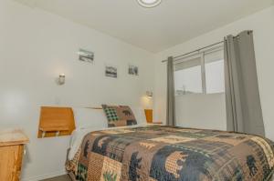 dog friendly accommodation in Radium BC