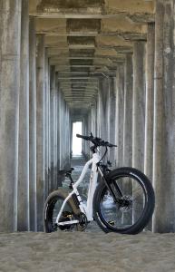 CSC Electric Bicycles FT750-26 HB Pier