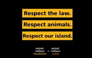 Animal Wellness Super Bowl Ad