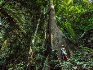 Woman in the Amazon Rainforest