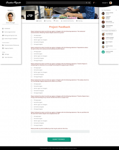 Creative Repute Client Portal - Project Feedback
