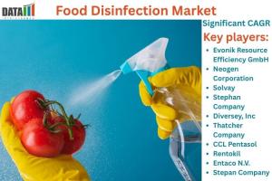 Food Disinfection Market