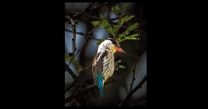 abstract dimensional photography