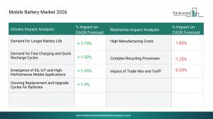 mobile battery market segmentation