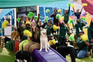 Wag Atlanta team celebrating 10th birthday with dogs