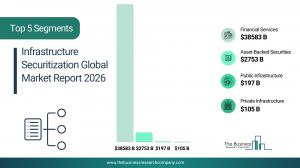 Infrastructure Securitization Global Market Report 2026_Segments