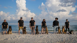 Off leash k9 training Ft Myers