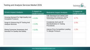 Testing and Analysis Services Market Report